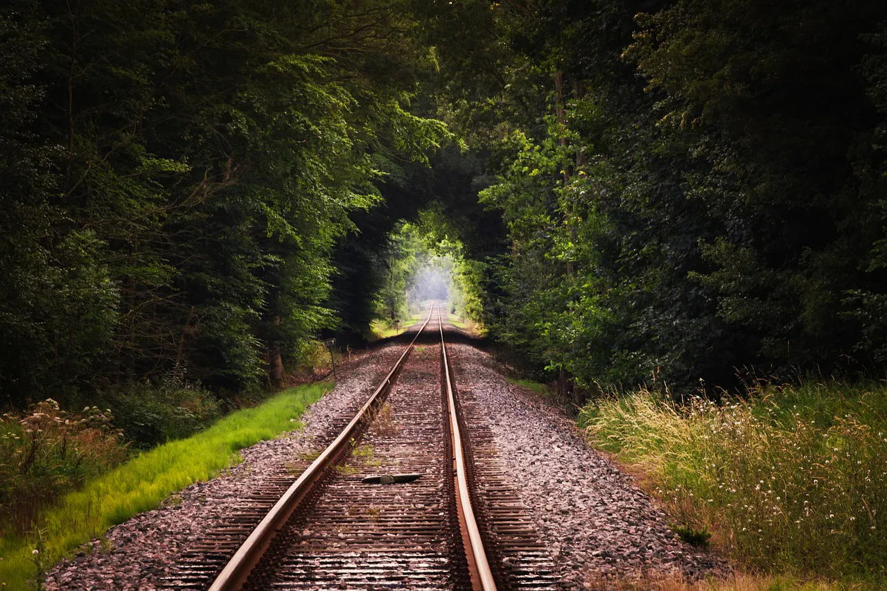 rails, tracks, railroad tracks-416460.jpg