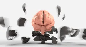brain, mental, health-3439067.jpg