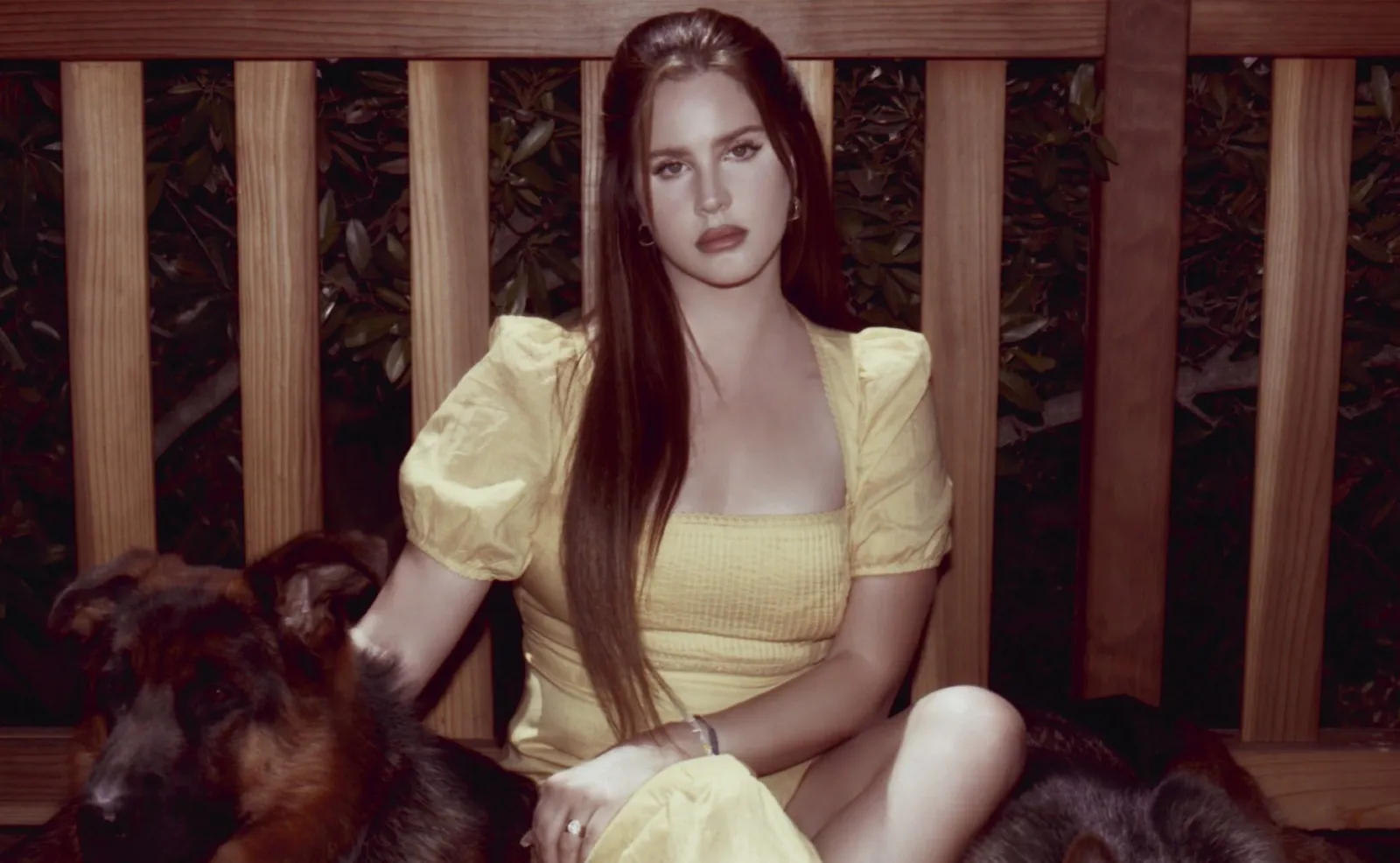 lana del rey'in euphoria'ya özel şarkısını dinleyin – playtuşu