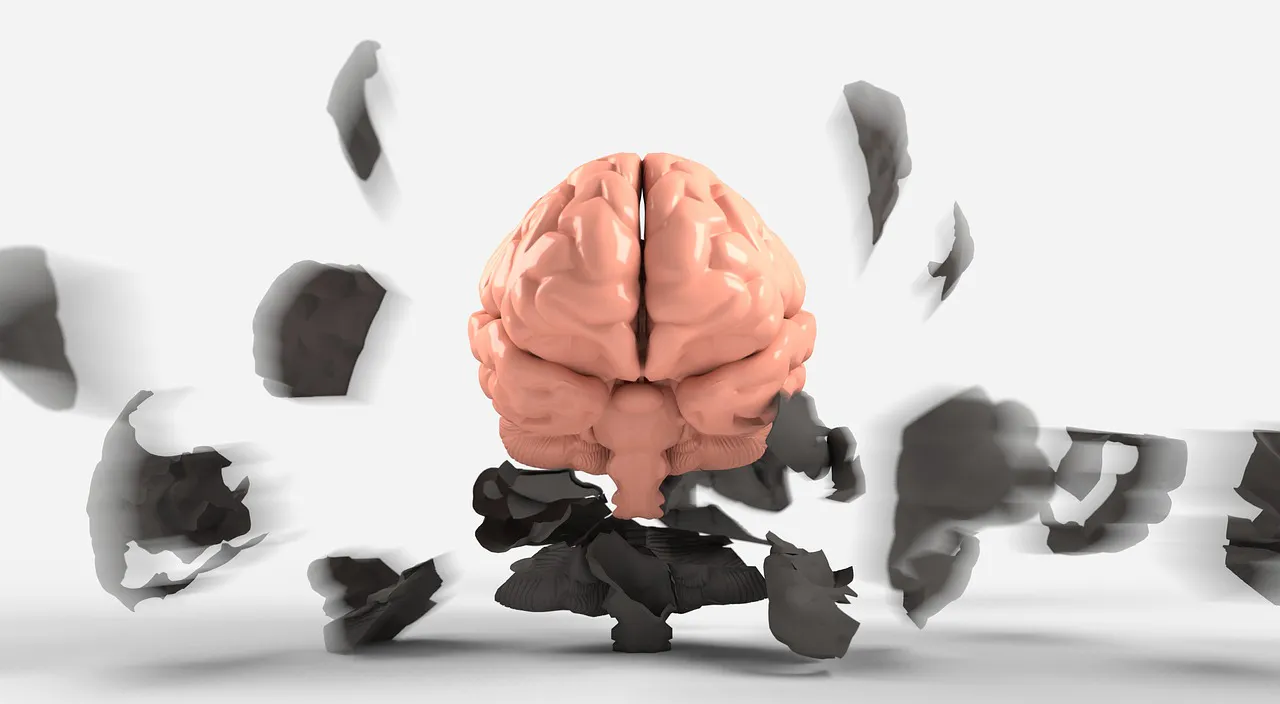 brain, mental, health-3439067.jpg