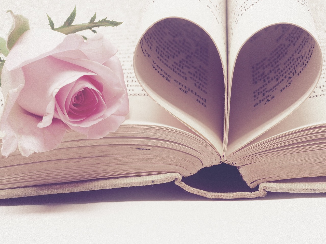 love story, valentine's day, rose flower-3060241.jpg